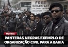 Panteras Negra estao voltando