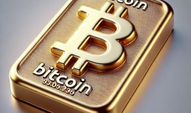 Bitcoin: A Nova Reserva de Valor Global